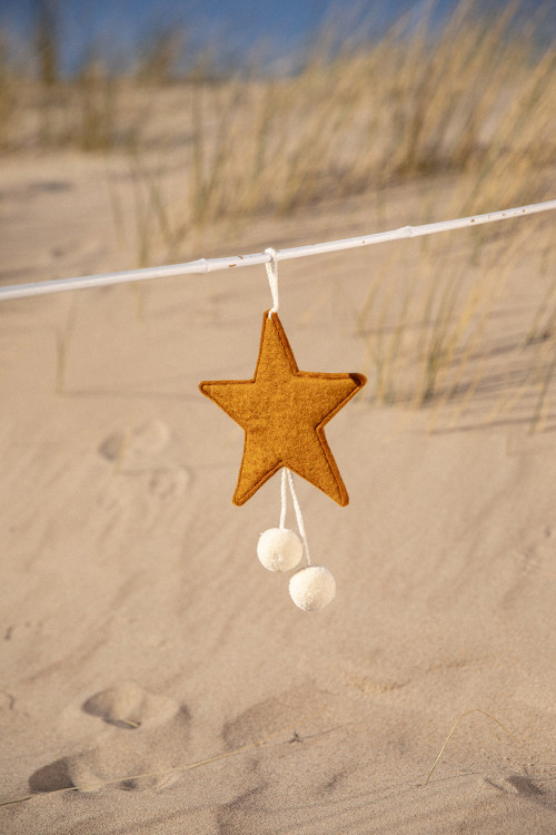 POMPOMS STAR HANGING