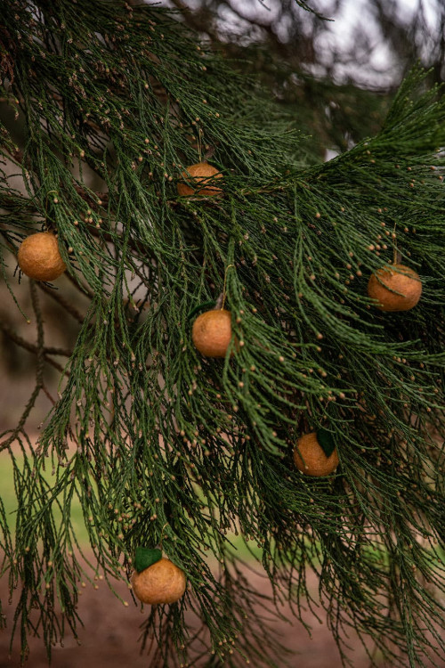 Décorations de Noël en forme de pomme en feutre de laine, faites à la main au Népal