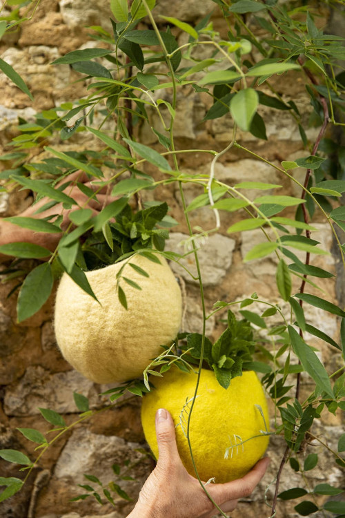 HANGING NEST BOWL - Last chance