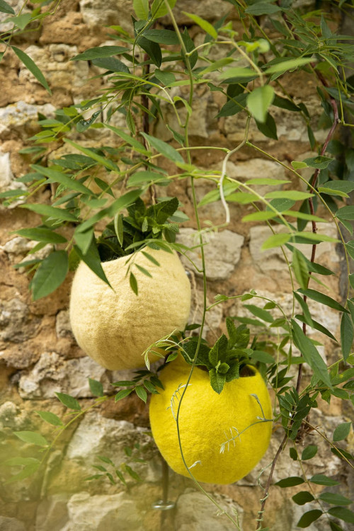 HANGING NEST BOWL - Last chance