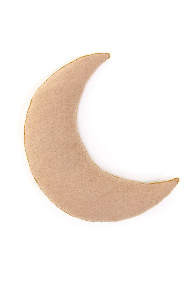 COUSSIN LUNE - Dernière chance