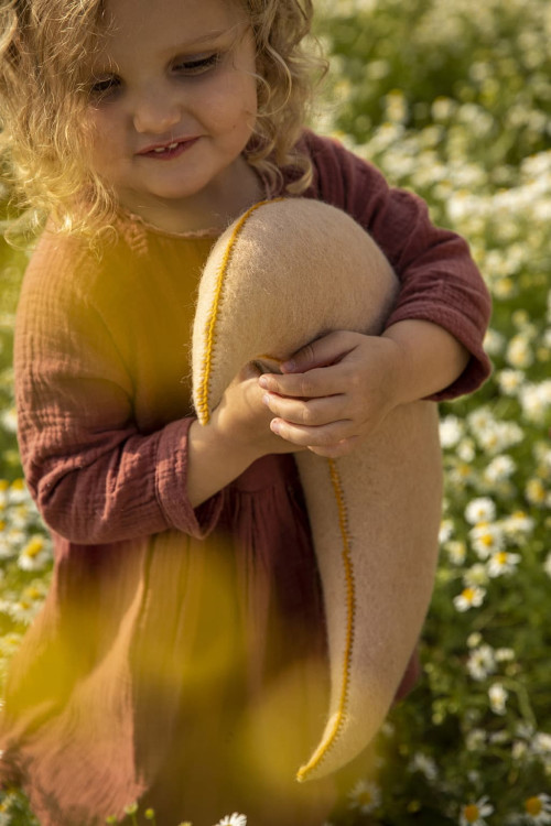 COUSSIN LUNE - Dernière chance