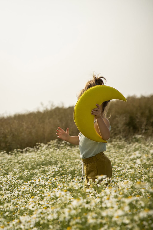 COUSSIN LUNE - Dernière chance