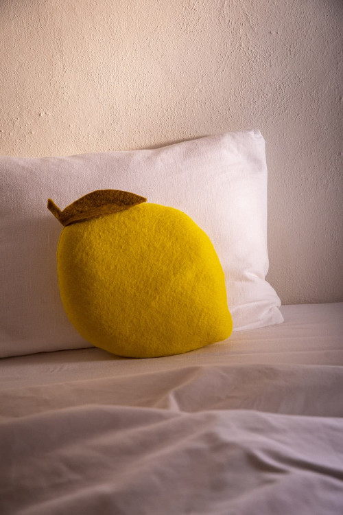 COUSSIN CITRON