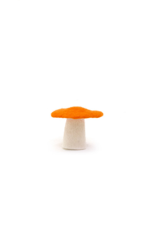 CHAMPIGNON