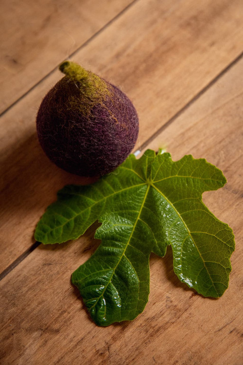 FIG