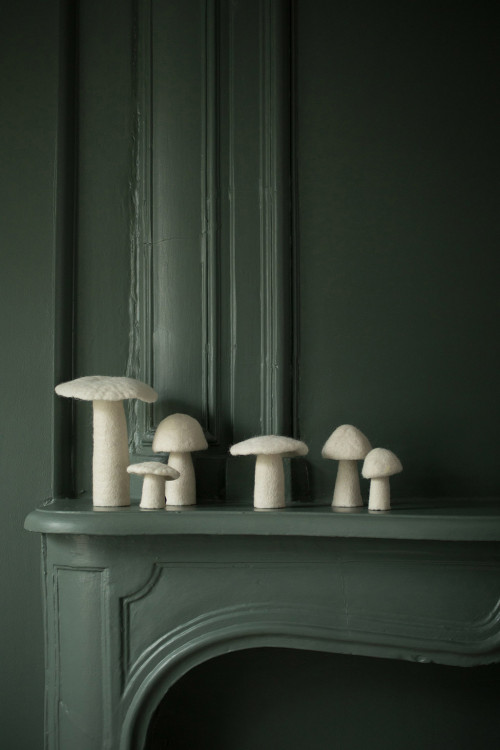 Champignons blancs de différentes tailles pour une décoration feutrée dans un salon