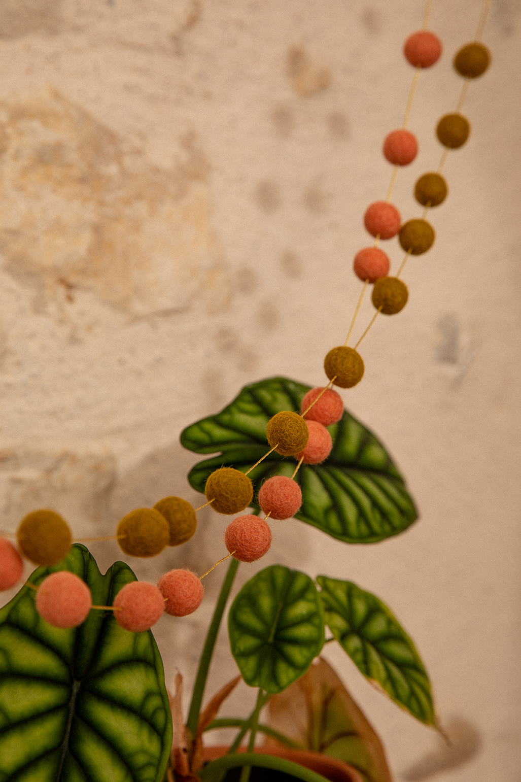 Duo de guirlandes décoratives à pompons en feutre de laine