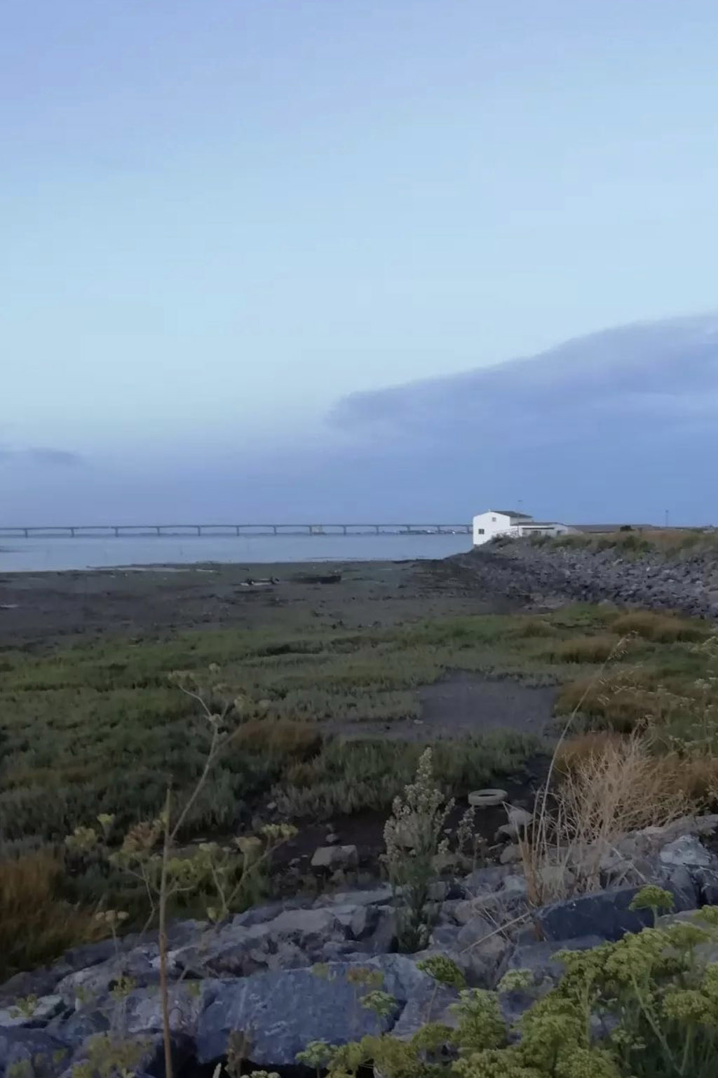 Paysage en bord de mer