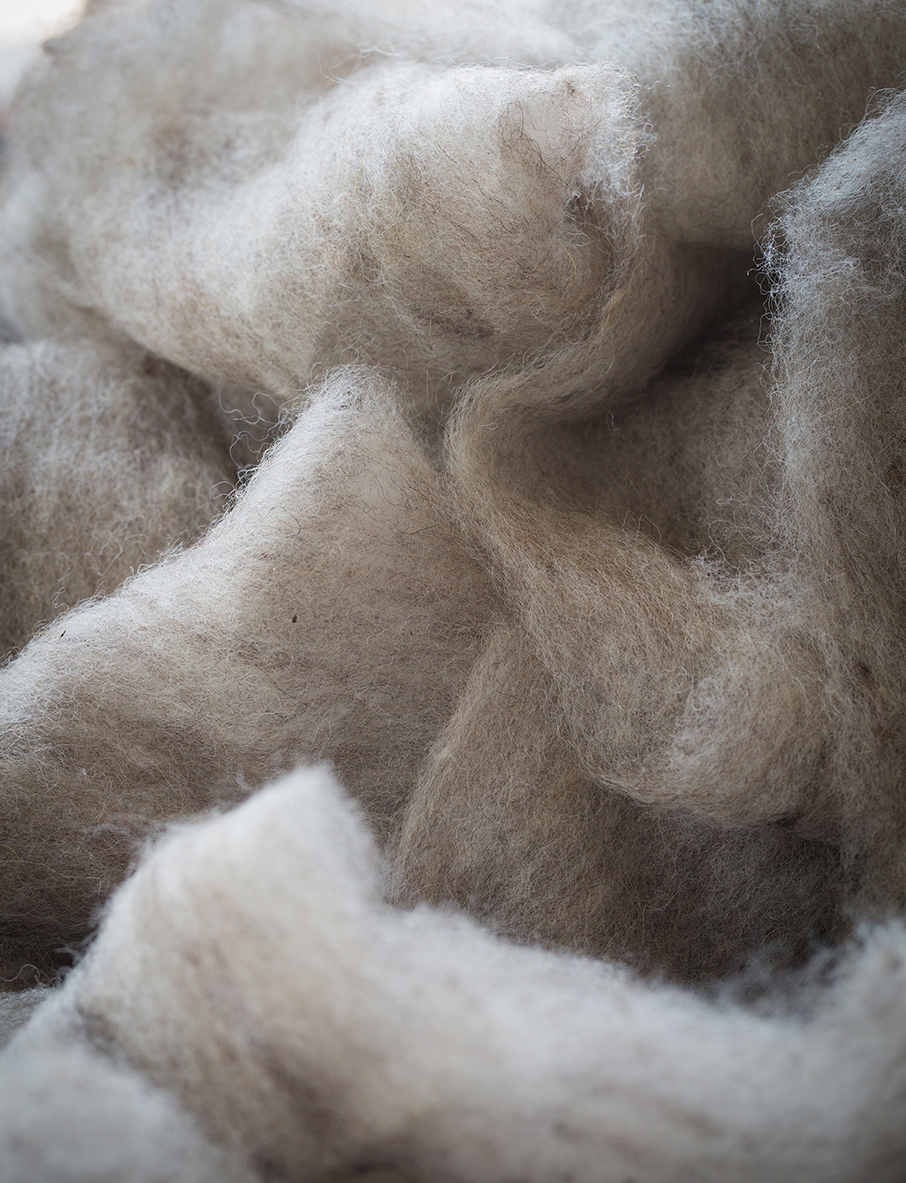 Close-up of carded sheep's wool